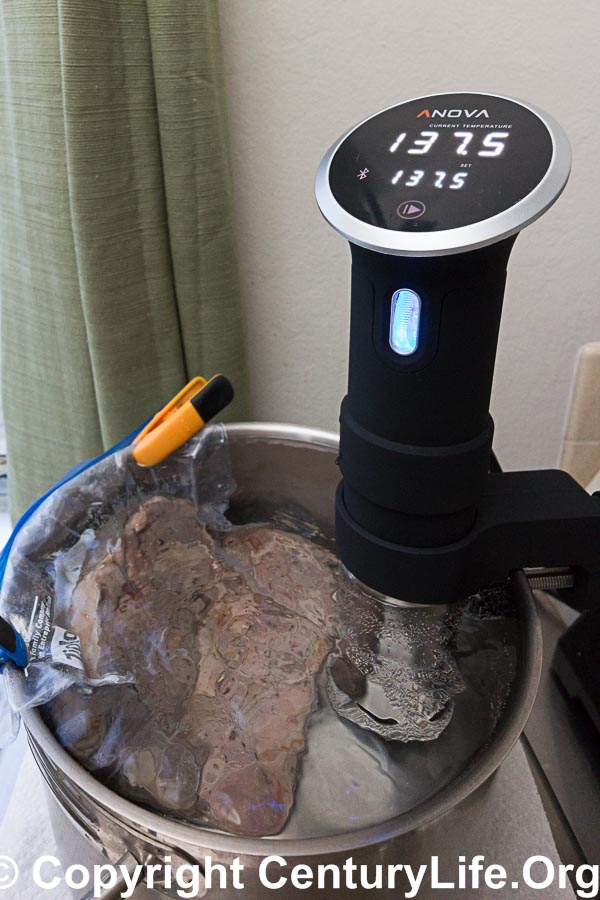 In-Depth Product Review: ANOVA Precision Cooker (an Immersion ...