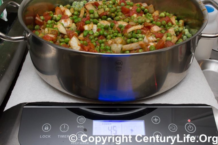 How to Choose a Portable Induction Cooker (Countertop Burner)